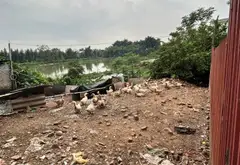 Tìm chủ mới cho bất động sản tiềm năng... Bán đất tại Võ Cường, Bắc Ninh 05