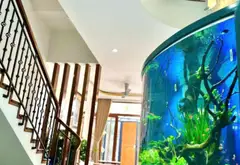 Sập hầm. Chỉ nhỉnh 7 tỷ. Nhà mặt tiền Tộ Hiệu... Bán nhà mặt phố tại Liên Chiểu, Đà Nẵng 06