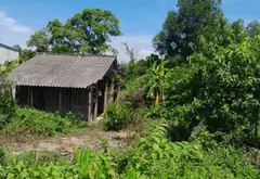 ​💥 GIẢM MẠNH 1,6 TỶ – CÒN 15 TỶ: 1.560M² ĐẤT CÓ 162M ĐẤT Ở MẶT TIỀN NGUYỄN ĐÌNH KIÊN, BC... Bán đất tại Tân Nhựt, Hồ Chí Minh 02