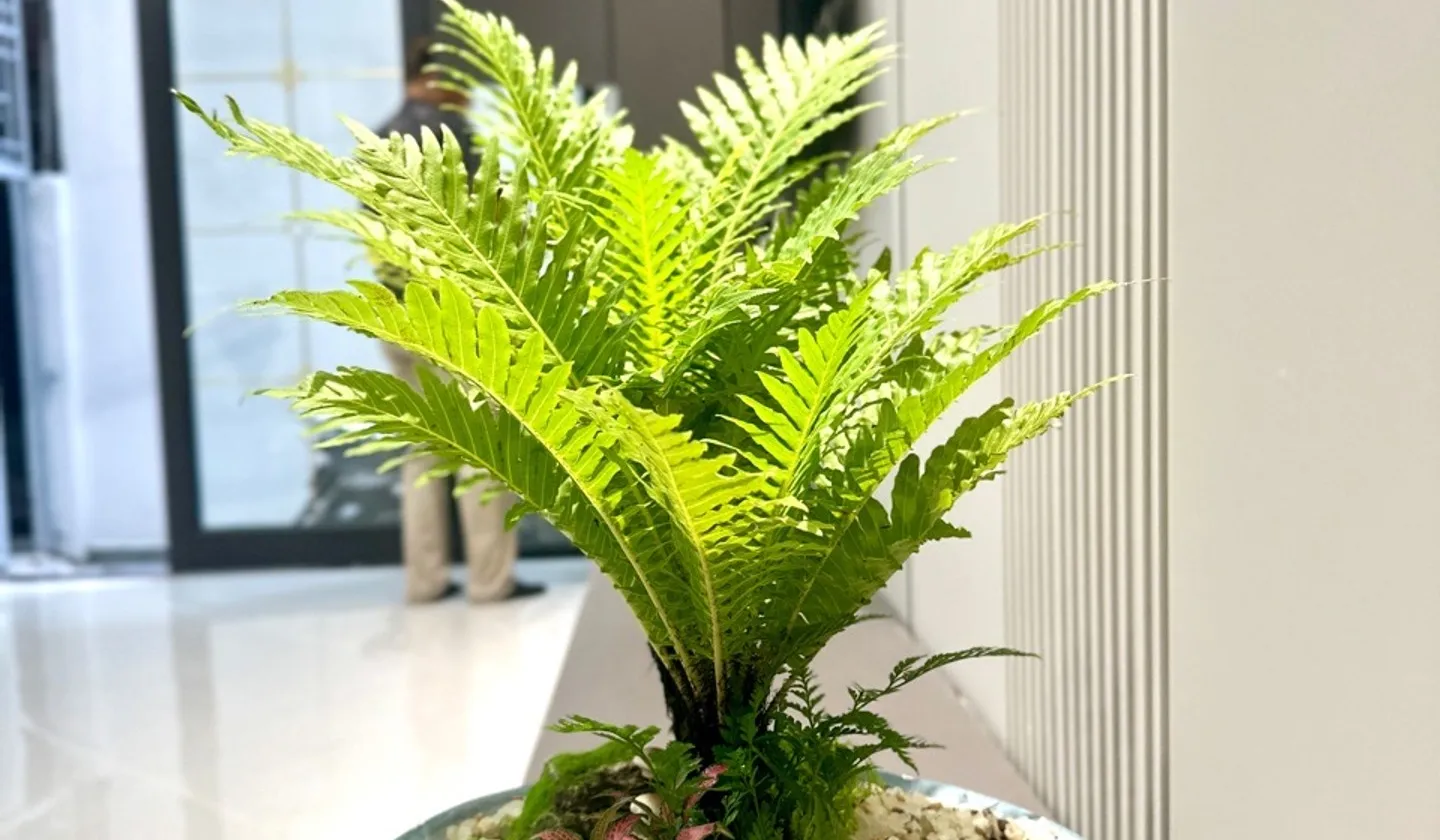 Cơ hội hiếm có sở hữu nhà 6 tầng thang máy tại phân lô Quân Đội Thanh Xuân... Bán nhà riêng tại Phương Liệt, Hà Nội 01
