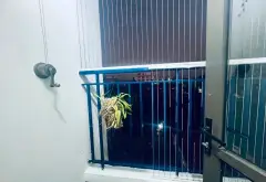 Cơ hội sở hữu căn hộ 2 ngủ 2 wc view thoáng tại Chung cư Long Biên Hà Nội... Bán căn hộ chung cư tại Phúc Lợi, Hà Nội 06