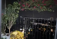 Cạnh Mỹ Đình, căn hộ 2 ngủ, 70 m², căn hộ thiết kế tối ưu, full nội thất, lô góc, ô tô, giá tốt.... Bán căn hộ chung cư tại Xuân Phương, Hà Nội 02