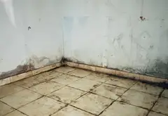 Cơ hội sở hữu nhà mặt phố Huỳnh Tấn Phát giảm 1 tỷ giá chỉ còn 6 tỷ... Bán nhà mặt phố tại Nhà Bè, Hồ Chí Minh 06