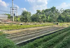 Đất đẹp hiền lương Đào viên Bắc Ninh 2,1tỷ... Bán đất tại Đào Viên, Bắc Ninh 02