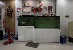 [Tin xác thực] Bán gấp /biệt thự song lập hai mặt tiền tại Đặng Xá 2, không gian sống thượng lưu... Bán biệt thự, liền kề tại Thuận An, Hà Nội 06