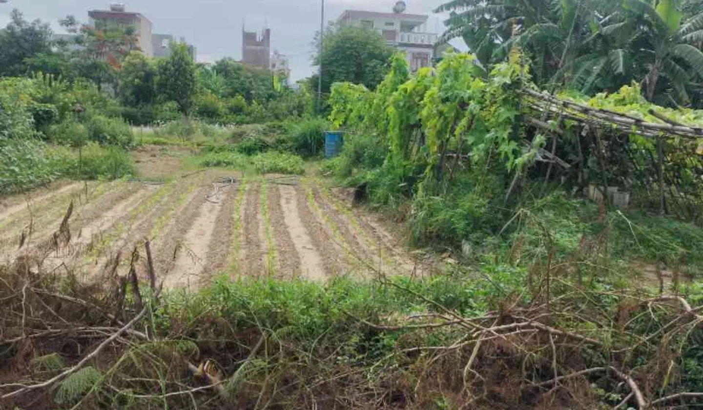 Lô đất góc Tái định cư Tràng Cát đẳng cấp tại cửa ngõ phía Đông Nam Hải Phòng... Bán đất tại Hải An, Hải Phòng 01