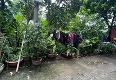 Bán nhà riêng 1 tầng ngõ 264 Ngọc Thụy, Long Biên, ô tô vào nhà, 2 mặt tiền... Bán nhà riêng tại Bồ Đề, Hà Nội 05