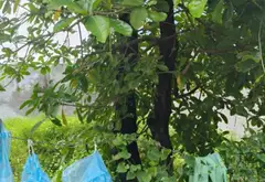 Bán đất mặt tiền 5m hướng Đông Bắc khu vực Q12, giá 4,99 tỷ... Bán đất tại Thới An, Hồ Chí Minh 05