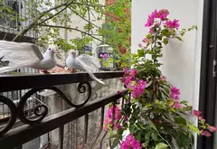 Bán nhà riêng 5 tầng Phân Lô phố Nguyễn Tuân, ô tô đỗ cửa, diện tích 22m2... Bán nhà riêng tại Thanh Xuân, Hà Nội 07