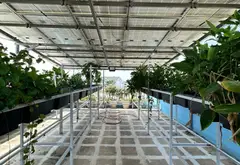 Nhà mặt phố 4 tầng toạ lạc tại phường Bình Tân, sở hữu thang máy tiện nghi... Bán nhà mặt phố tại Bình Tân, Hồ Chí Minh 12