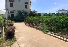Đất vàng Văn Giang, mặt tiền 17m siêu tiềm năng... Bán đất tại Văn Giang, Hưng Yên 04