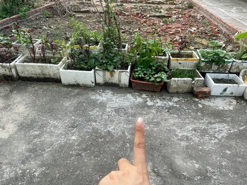 Bán đất lô góc 3 mặt thoáng tại Sóc Sơn với tiện ích đầy đủ... Bán đất tại Sóc Sơn, Hà Nội 01