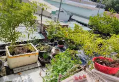 🏡 NHÀ 2 TẦNG HƠI BỊ ĐẸP
- BÀ ĐIỂM HÓC MÔN - Ô TÔ ĐẬU CỬA - DIỆN TÍCH 5 X 16
- NHỈNH HƠN 💰 3Đ... Bán nhà riêng tại Bà Điểm, Hồ Chí Minh 07