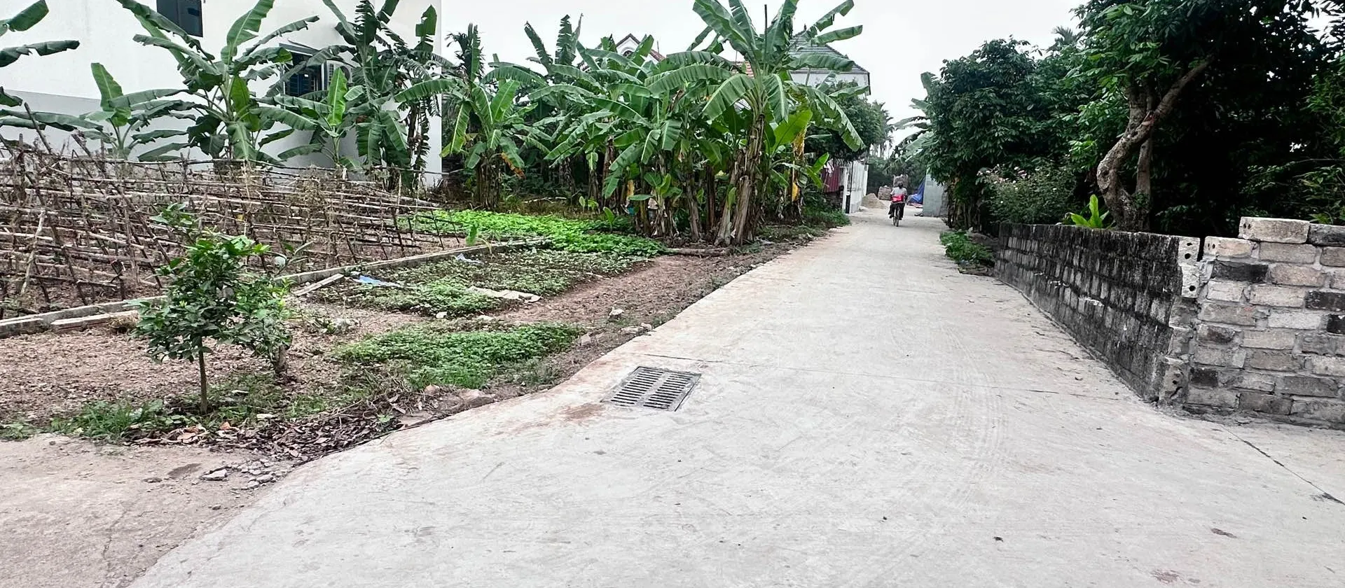 Bán đất phân lô mặt ngõ ô tô tại An Vĩ, Hưng Yên, giá đầu tư... Bán đất tại Triệu Việt Vương, Hưng Yên 01