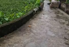 Lô đất rộng mặt tiền 18,2m tại phường Thiên Hương, không gian lý tưởng để phát triển... Bán đất tại Thiên Hương, Hải Phòng 06