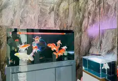 Bán nhà riêng 3 tầng tại Nguyễn Văn Linh, thiết kế kiên cố, hướng Tây Bắc... Bán nhà riêng tại An Biên, Hải Phòng 09