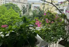 Căn hộ 2 phòng ngủ góc thoáng mát tại khu đô thị Việt Hưng, Long Biên... Bán căn hộ chung cư tại Việt Hưng, Hà Nội 17