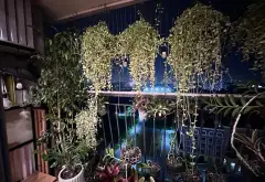 Bán căn hộ 2 phòng ngủ tại phường Hoàng Mai, Hà Nội, chung cư Gelexia Riverside... Bán căn hộ chung cư tại Hoàng Mai, Hà Nội 06