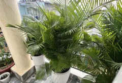 Bán nhà riêng 4 tầng tại Bình Trị Đông diện tích 69m2 pháp lý rõ ràng... Bán nhà riêng tại Bình Trị Đông, Hồ Chí Minh 11
