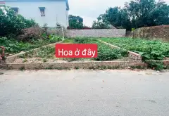 Đất sân bay Vệ Linh giá cực tốt, sát Võ Nguyên Giáp... Bán đất tại Sóc Sơn, Hà Nội 01