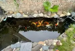 Bán nhà riêng 3 tầng diện tích 90.1 m2 hướng Tây Nam tại Dương Quang... Bán nhà riêng tại Thuận An, Hà Nội 03