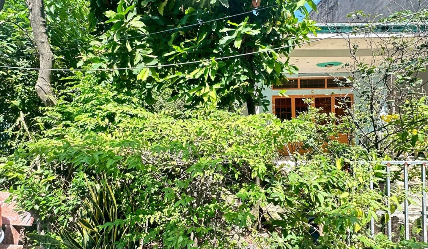 Cơ hội hiếm có mua đất hẻm xe hơi khu Trung Mỹ Tây giá chỉ hơn 3đ... Bán đất tại Trung Mỹ Tây, Hồ Chí Minh 01