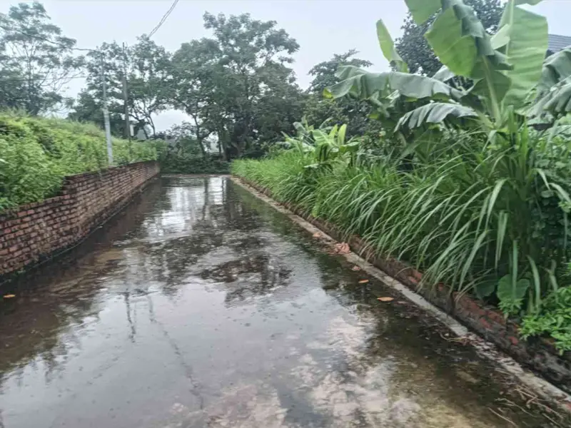 Đất đẹp phân lô ô tô vào, mặt tiền 10m tại Bắc Sơn... Bán đất tại Trung Giã, Hà Nội 01