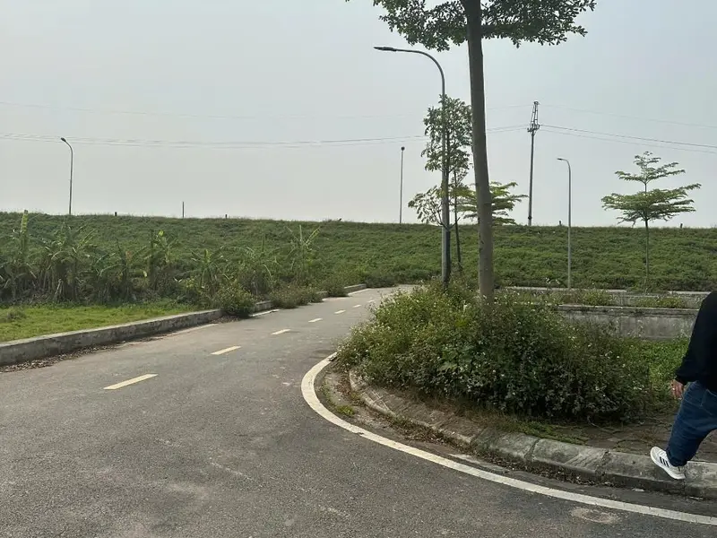Bán đất mặt đường N1 Hạ Mỗ, đường rộng thênh thang, kinh doanh đỉnh... Bán đất tại Đan Phượng, Hà Nội 01