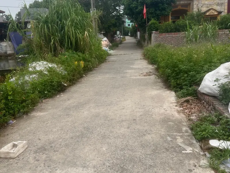 Đất nở hậu mặt tiền rộng tại Ngọc Tỉnh, Bắc Ninh giá ưu đãi... Bán đất tại Song Liễu, Bắc Ninh 01