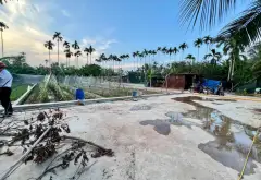Đất đẹp An Trường, ngõ thông, giá hợp lý... Bán đất tại An Lão, Hải Phòng 03