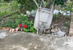 Bán đất thổ cư diện tích 58,1m² hướng Tây Nam tại Thôn Hầu Lâm, tiện đường ô tô... Bán đất tại Thiên Hương, Hải Phòng 05