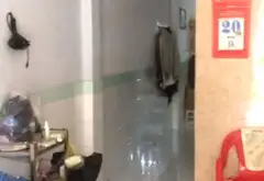 Bán nhà cấp 4 hẻm 4m quận 12, diện tích 66m², có sẵn thu nhập cho thuê... Bán owner_side tại Đông Hưng Thuận, Hồ Chí Minh 02