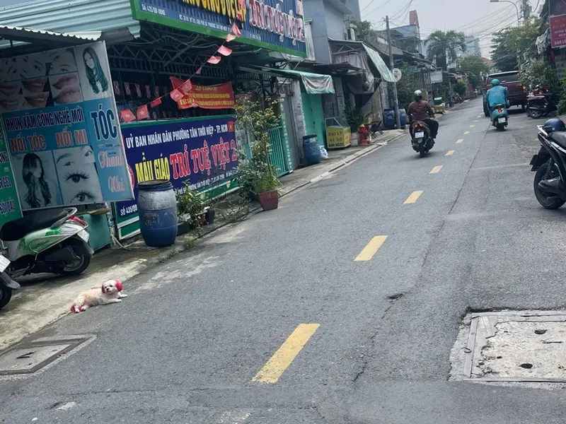 Nhà Mặt Phố Tân Thới Hiệp - Giá Ưu Đãi, Sống Động Kinh Doanh... Bán nhà mặt phố tại Tân Thới Hiệp, Hồ Chí Minh 01