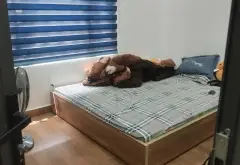 Cơ hội vàng sở hữu nhà mặt phố view sông Tam Bạc - vị trí đắc địa cực hiếm... Bán nhà mặt phố tại An Biên, Hải Phòng 08