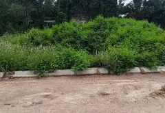 Bán đất nền 116m² mặt tiền 5m tại Phú Thịnh, Sóc Sơn, giá cạnh tranh... Bán đất tại Kim Anh, Hà Nội 06