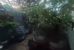 Nhà đẹp Tân Bình, 4 phòng ngủ, giá tốt chỉ 8.8 tỷ... Bán nhà riêng tại Tân Bình, Hồ Chí Minh 12