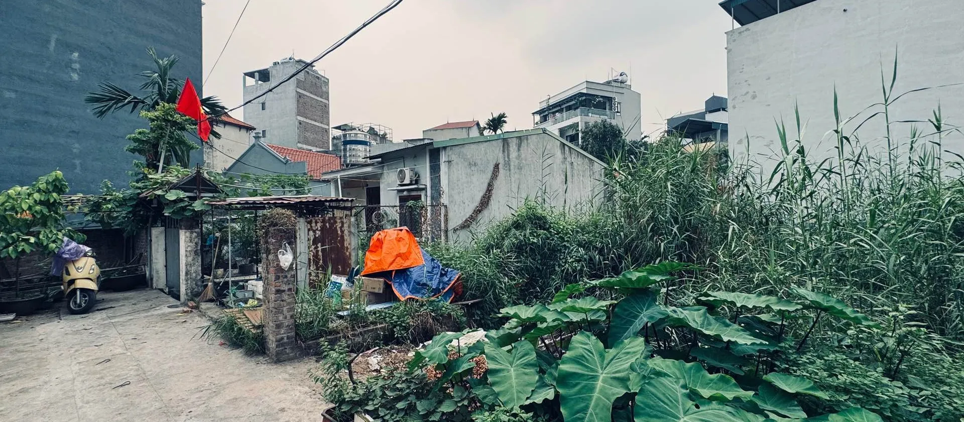 Bán đất mặt tiền rộng, vị trí tiềm năng tại Đại Cát... Bán đất tại Thượng Cát, Hà Nội 01