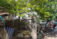 Đất đẹp mặt phố Mã Phù Linh Sóc Sơn giá hợp lý... Bán đất tại Sóc Sơn, Hà Nội 06