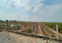 Đất mặt tiền Kênh Số 5 Bình Lợi, Bình Chánh giá siêu hấp dẫn... Bán nhà mặt phố tại Bình Lợi, Hồ Chí Minh 03