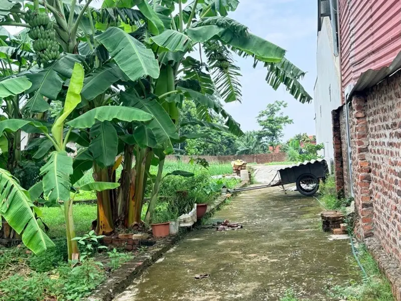 Mảnh Đất Vàng Trung Tâm Phù Linh - Ngõ Thông Ô Tô - Gần Đền Sóc - chỉ hơn 1 tỷ... Bán đất tại Sóc Sơn, Hà Nội 01