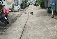 Bán nhà riêng 4 tầng phường Bình Trị Đông quận Bình Tân, sổ vuông diện tích 78.9 m2... Bán nhà riêng tại Bình Trị Đông, Hồ Chí Minh 01