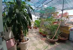 🏡VIP🏡 Nhà 3 Tầng Đẹp – TT Phước Long – 95M2 Ngang 5M - Nhỉnh 7 T.Ỉ TL... Bán nhà riêng tại Phước Long, Hồ Chí Minh 04