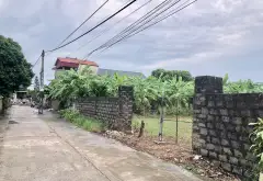 cần bán lô đất với diện tích siêu lớn. tại Ngọc thanh , hiệp cường , hưng yên... Bán đất tại Hiệp Cường, Hưng Yên 08