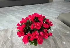 Nhà mặt ngõ Tôn Đức Thắng, thiết kế 4 tầng hiện đại phù hợp kinh doanh... Bán nhà riêng tại Lê Chân, Hải Phòng 09