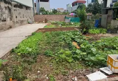 Bán đất thổ cư Phúc Lợi, mặt tiền 5m, diện tích 55.5 m², pháp lý cơ sở... Bán đất tại Long Biên, Hà Nội 08