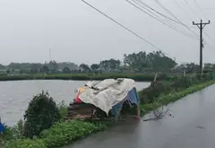 Đất vàng Đông Bài tặng nhà 1 tầng, sầm uất, giá hời... Bán đất tại Sóc Sơn, Hà Nội 11