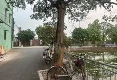 Bán đất 123m2 mặt tiền 8.3m tại Lỗ Khê, Liên Hà, giá 9.3 tỷ... Bán đất tại Thư Lâm, Hà Nội 03