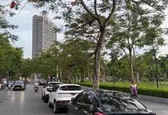 Khách sạn 9 tầng trung tâm Hải Phòng, hiệu suất kinh doanh ổn định... Bán bất động sản khác tại Ngô Quyền, Hải Phòng 02