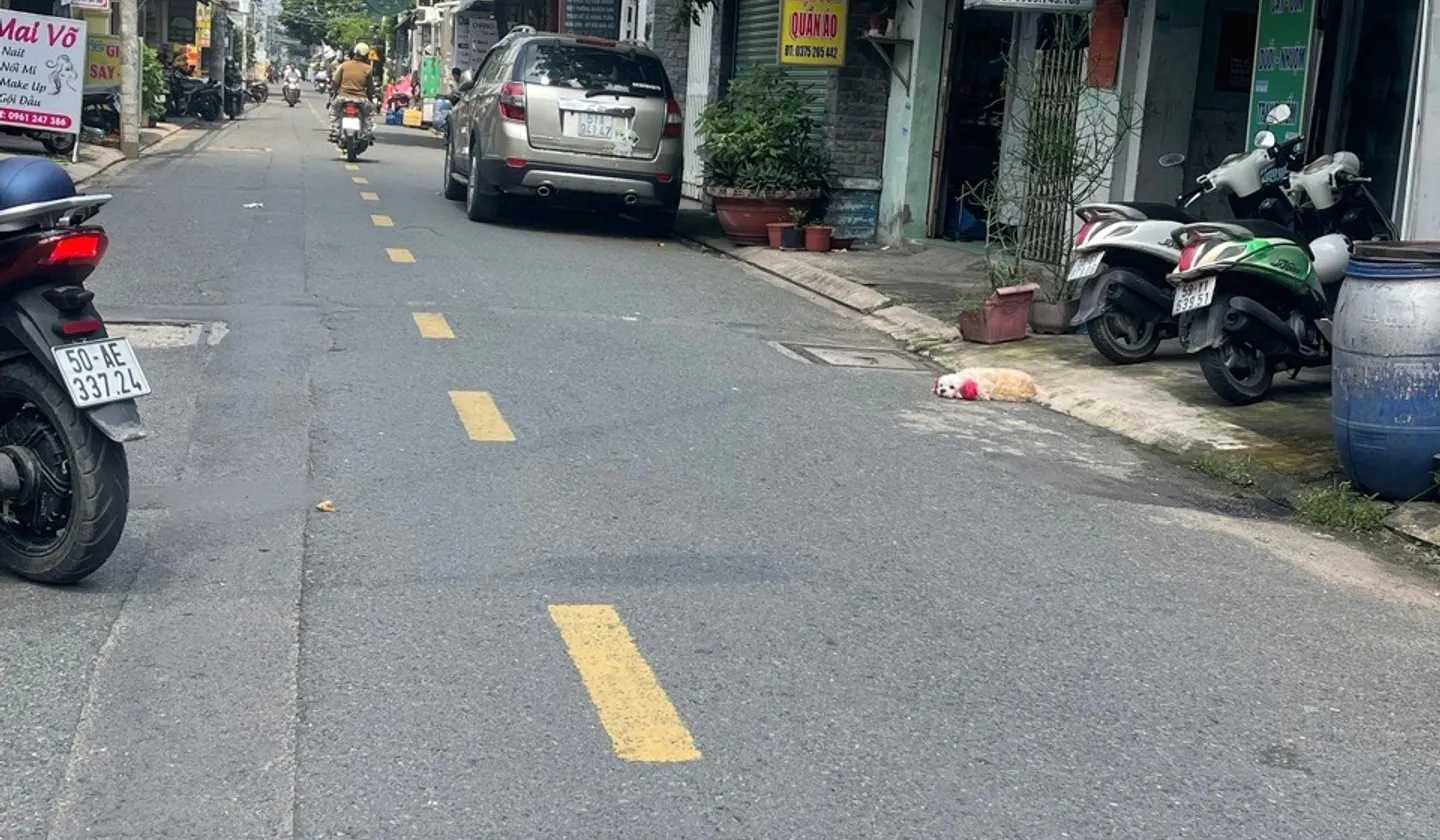 Nhà mặt tiền phường Tân Thới Hiệp - vị trí kinh doanh đắc địa... Bán nhà mặt phố tại Tân Thới Hiệp, Hồ Chí Minh 01