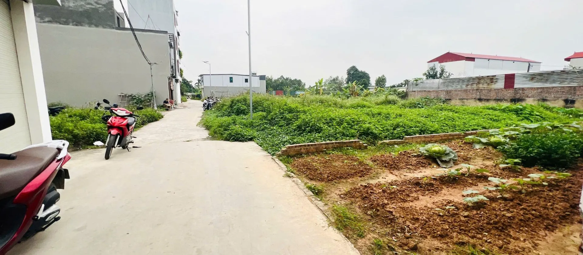 Đất nền Hương Đình giá sốc, sẵn sàng giao dịch... Bán đất tại Sóc Sơn, Hà Nội 01